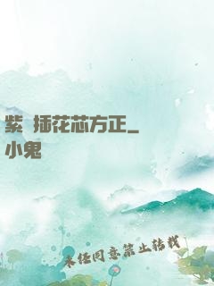 紫龍插花芯方正