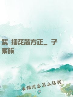 紫龍插花芯方正