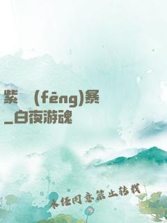 紫龍風(fēng)暴