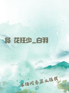 絕品護花狂少