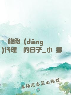 給雙胞胎當(dāng)代理媽媽的日子