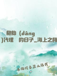 給雙胞胎當(dāng)代理媽媽的日子