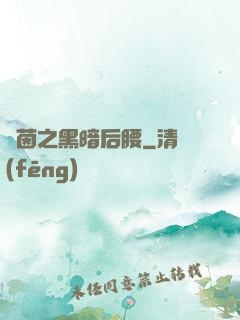 綠茵之黑暗后腰