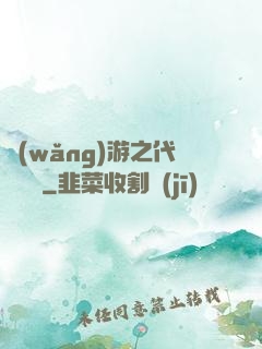 網(wǎng)游之代練傳說
