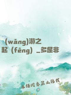 網(wǎng)游之劍起風(fēng)塵