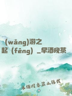 網(wǎng)游之劍起風(fēng)塵