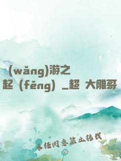 網(wǎng)游之劍起風(fēng)塵