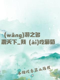 網(wǎng)游之名震天下