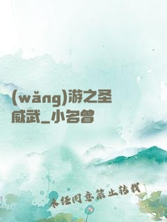 網(wǎng)游之圣騎威武
