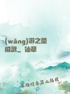 網(wǎng)游之圣騎威武