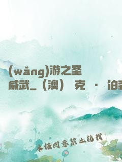 網(wǎng)游之圣騎威武