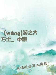 網(wǎng)游之大方士