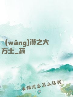 網(wǎng)游之大方士