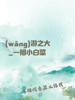 網(wǎng)游之大盜賊
