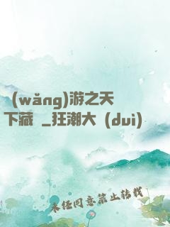網(wǎng)游之天下藏鋒