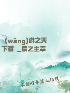 網(wǎng)游之天下藏鋒