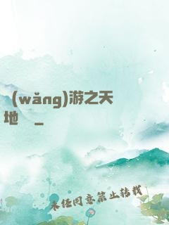 網(wǎng)游之天地縱橫