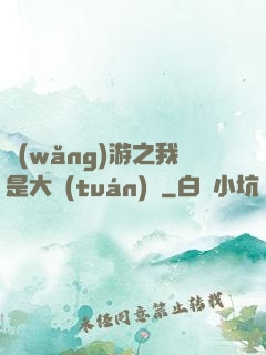網(wǎng)游之我是大團(tuán)長
