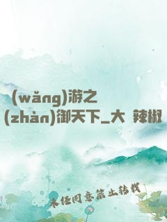 網(wǎng)游之戰(zhàn)御天下