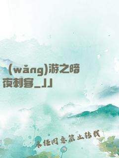 網(wǎng)游之暗夜刺客
