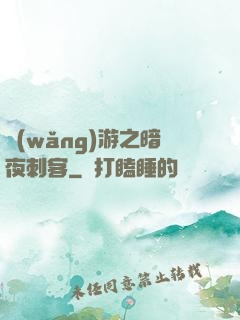 網(wǎng)游之暗夜刺客