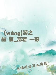 網(wǎng)游之槍械專家