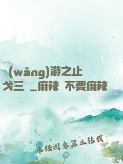 網(wǎng)游之止戈三國