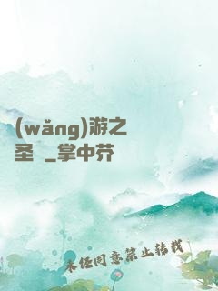 網(wǎng)游之無敵圣騎