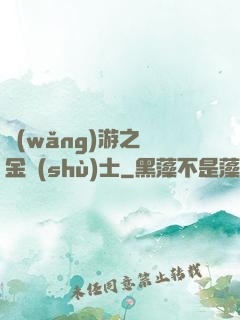 網(wǎng)游之煉金術(shù)士