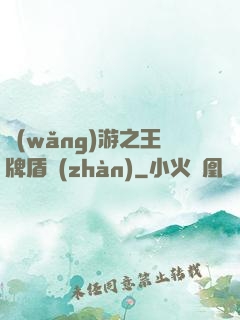 網(wǎng)游之王牌盾戰(zhàn)