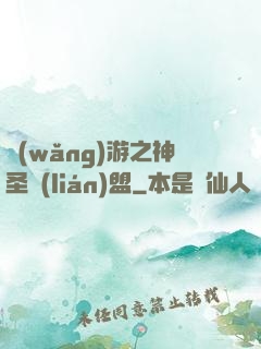網(wǎng)游之神圣聯(lián)盟