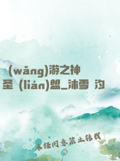 網(wǎng)游之神圣聯(lián)盟