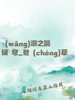 網(wǎng)游之箭破蒼穹