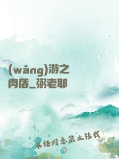 網(wǎng)游之終極肉盾