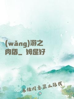 網(wǎng)游之終極肉盾