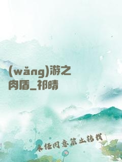 網(wǎng)游之終極肉盾