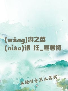 網(wǎng)游之菜鳥(niǎo)很瘋狂