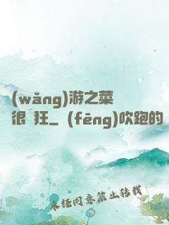 網(wǎng)游之菜鳥很瘋狂