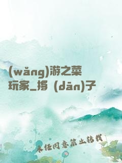 網(wǎng)游之菜鳥玩家