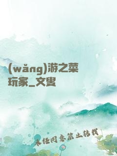 網(wǎng)游之菜鳥玩家