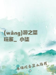 網(wǎng)游之菜鳥玩家
