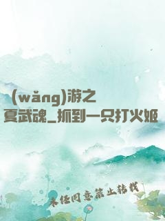 網(wǎng)游之華夏武魂