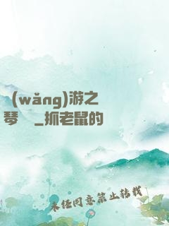 網(wǎng)游之護琴計劃