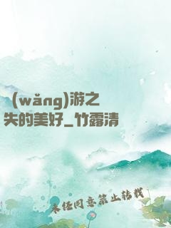網(wǎng)游之遺失的美好