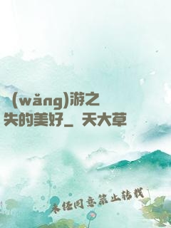 網(wǎng)游之遺失的美好