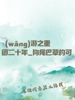 網(wǎng)游之重回二十年