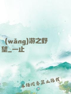 網(wǎng)游之野望