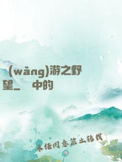 網(wǎng)游之野望
