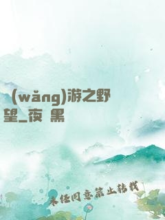 網(wǎng)游之野望