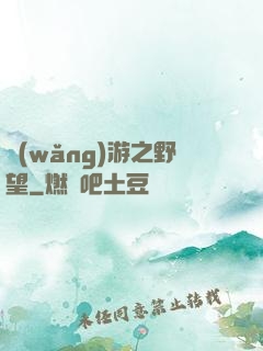 網(wǎng)游之野望